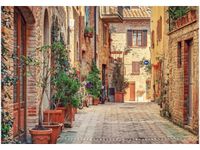 product-compare-58711759