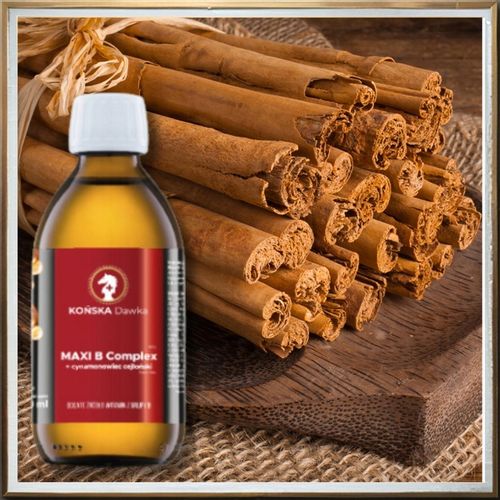 Witamina B B1B2 B3 KOŃSKA DAWKA Cynamonowiec cejloński MAXI B Complex na Arena.pl