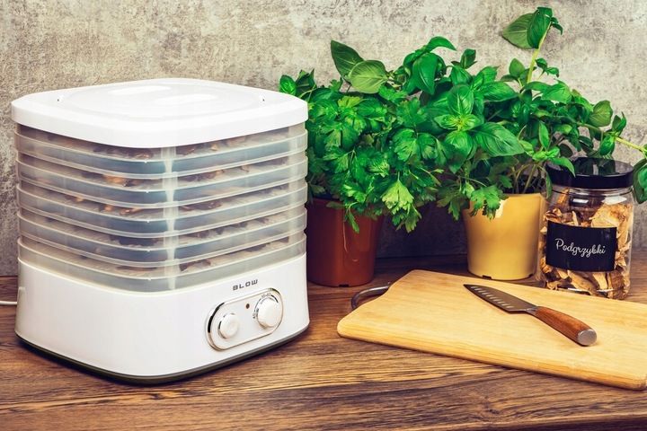 SUSZARKA DO GRZYBÓW OWOCÓW WARZYW RYB REGULACJA 5 SIT zdjęcie 13