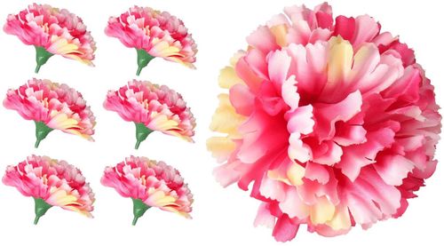 GOŹDZIK GOŹDZIKI GŁÓWKA WYROBOWA KWIAT PREMIUM x12 na Arena.pl