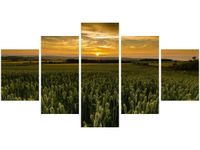 80CM 150CM OBRAZ 5 ELEM AYTON JONATHAN COMBE ŚCIENNY