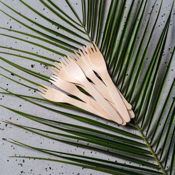 Zestaw z trzciny cukrowej kwadratowy brąz/12 osób zdjęcie 3