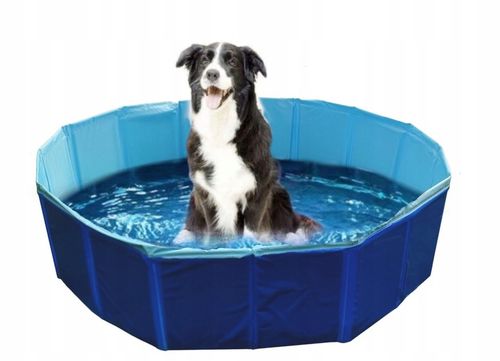 Basen dla psa dzieci do kąpieli ogrodu kojec 80x20 na Arena.pl