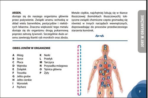 Body Detox urządzenie do oczyszczania organizmy na Arena.pl