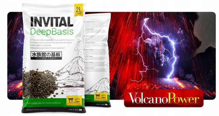 INVITAL DeepBasis 2l podłoże odżywcze pod żwir zdjęcie 8