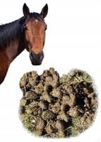 Obornik koński 100% EKOLOGICZNY naturalny POD WARZYWA 20kg 60L