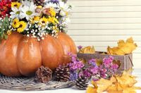 FOTOTAPETA kuchenna KWIATY JESIENNE LIŚCIE 200x130