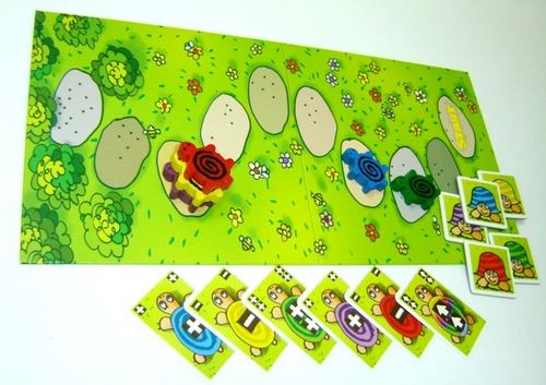 Pędzące żółwie na Arena.pl