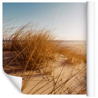 Fototapeta 3D Wydmy Piasek Rośliny do Salonu 450x300