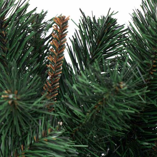 CS/JODŁA/WIERA/180 na Arena.pl