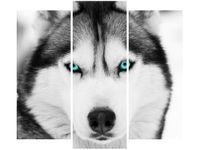 90 80CM OBRAZ T3 ELEM GŁĘBOKIE SPOJRZENIE DRUK ŚCIENNY