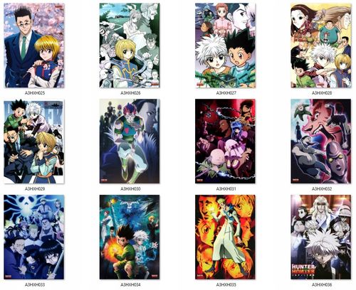 Plakat Hunter x Hunter DO WYBORU na Arena.pl