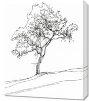 Obraz 50x60cm Drzewo w Zarysie