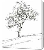 Obraz 50x60cm Drzewo w Zarysie