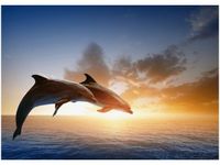 50X70CM DELFINY OBRAZ POKOJU DREWNINE
