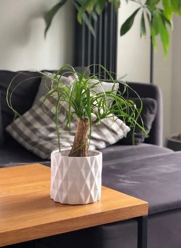 DONICZKA OSŁONKA CERAMICZNA BIAŁA OZDOBA na Arena.pl