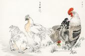 Plakat 91,5x61cm Domestic Fowl, Kashu Japoński Vintage do Salonu