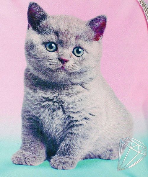 PLECAK SZKOLNY TORNISTER DLA DZIEWCZYNKI KOT KOTEK zdjęcie 3