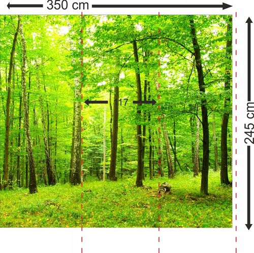 Fototapeta 3D widok panorama miasta mapa 350x245 na Arena.pl