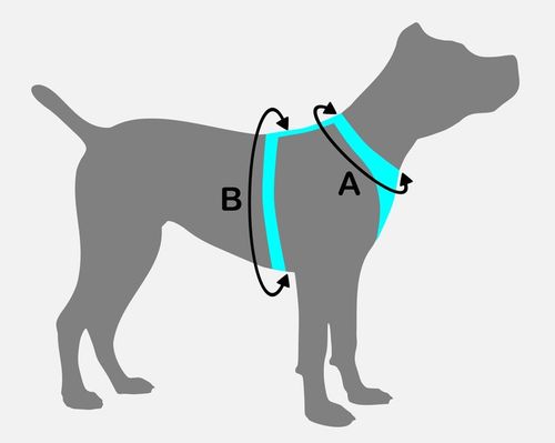SZELKI DLA DUŻEGO PSA BEZUCISKOWE REGULOWANE SPACEROWE ODBLASKOWE GUARD XL na Arena.pl