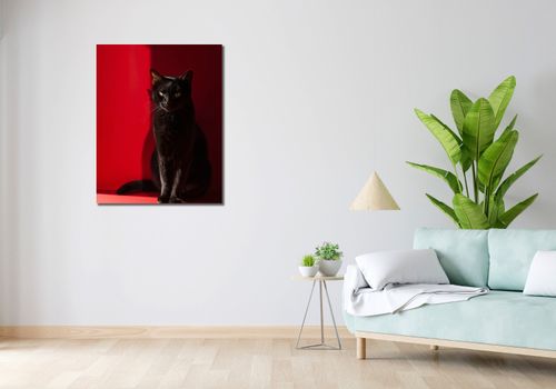 Obraz 70x90cm Elegancja w Cieniu na Arena.pl