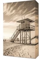 Obraz 30x50cm Strażnik Wydm