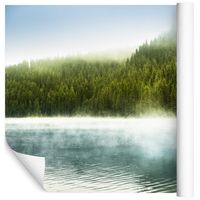 Fototapeta Las Drzewa Widoki JEZIORO do Salonu 368cm x 254cm