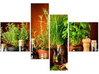 130CM 90 OBRAZ 4 ELEM PRZYPRAWY ZIOŁOWE ŚCIENNY