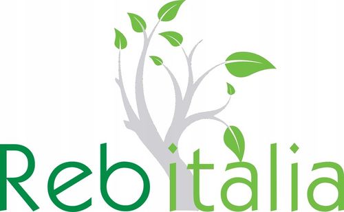 Lotion Rebitalia Energizing - wcierka przeciwko wypadaniu włosów 100ml na Arena.pl