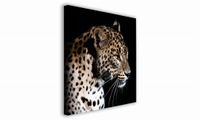 OBRAZ NA PŁÓTNIE 051 Lampart 30x30cm
