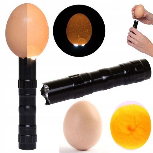 INKUBATOR KLUJNIK DO JAJ WYLĘGU DROBIU do 35 jajek na Arena.pl