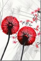 80CM 120 OBRAZ DMUCHAWCE CZERWIENI ŚCIENNY