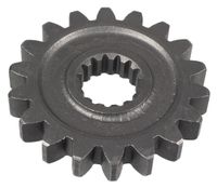 Zębatka CEDRUS glebogryzarka CEDRUSGLX640 2120700003-0001