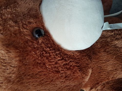 DUŻY MIŚ PLUSZOWY 205cm WIELKI PLUSZAK GIGANT 205 cm. na Arena.pl