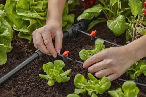 Rozdzielacz GARDENA Micro-Drip-System 13204-20 na Arena.pl