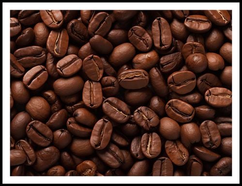 Plakat 100x75cm Esencja Aromatu na Arena.pl