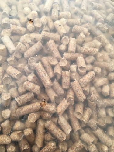 ŻWIREK DREWNIANY 15KG DLA KOTÓW CHOMIKÓW KRÓLIKÓW PELLET na Arena.pl