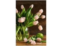 40X60CM PUDROWY TULIPAN OBRAZ