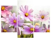 product-compare-58682248