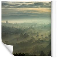 Fototapeta 3D Las Pejzaż Chmury Mgła do Salonu 368cm x 254cm