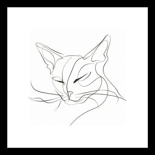 Plakat 20x20cm Linijny Kot na Arena.pl