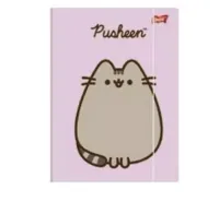 TECZKA Z GUMKĄ A4 300G PUSHEEN ST.MAJEWSKI