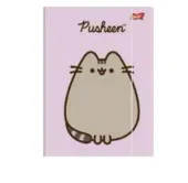 TECZKA Z GUMKĄ A4 300G PUSHEEN ST.MAJEWSKI