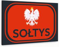 Tabliczka znak informacyjny 30x20 Antracyt SOŁTYS Nierdzewna NADRUK UV