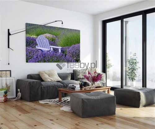 Obraz na płótnie - Canvas, Lawenda 50x70 na Arena.pl