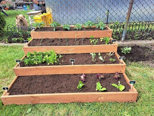 Warzywniak inspekt 4-piętrowy impregnowany, złożone boki, 120x120x40 na Arena.pl