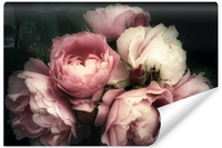 product-compare-55801099