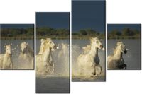 140CM 70 OBRAZ BIAŁE DZIKIE KONIE ŚCIENNY