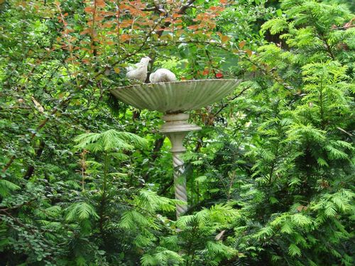PIĘKNE POIDEŁKO-KARMNIK OGRODOWY na Arena.pl