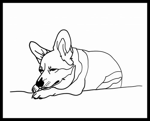 Plakat 50x40cm Śpiący Corgacz na Arena.pl